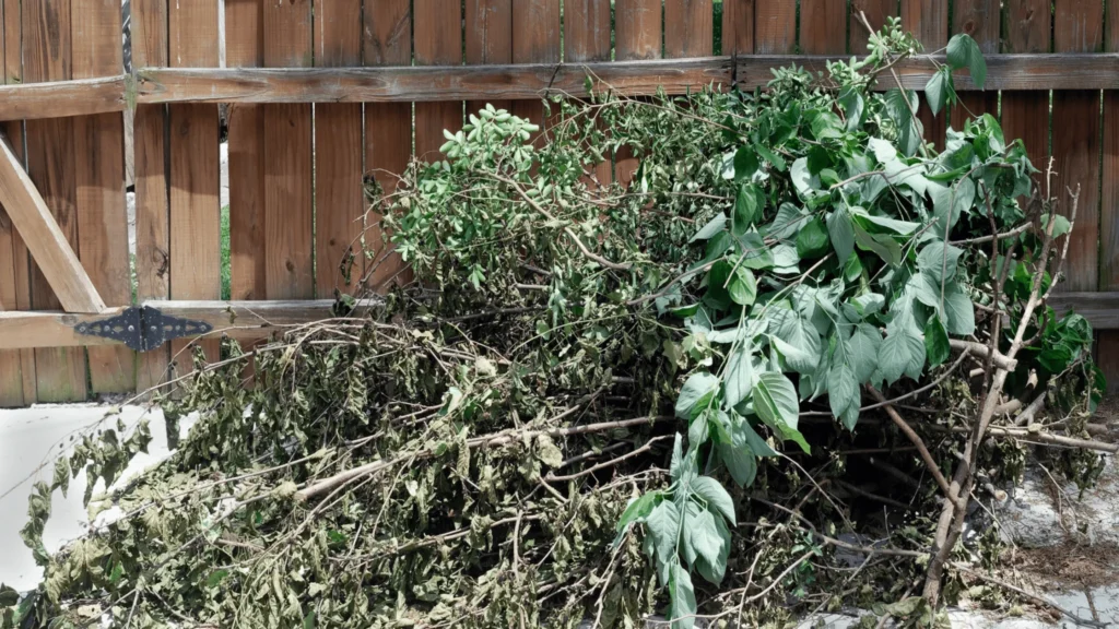 yard waste removal